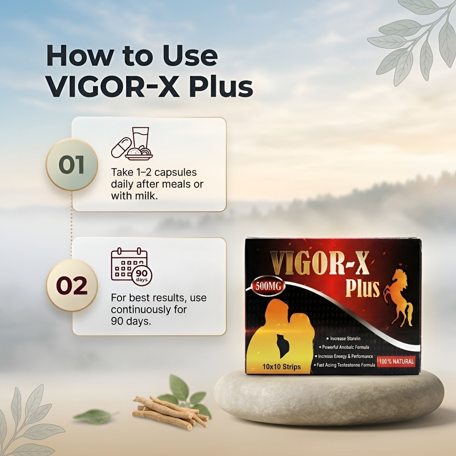 Vigor-X Plus