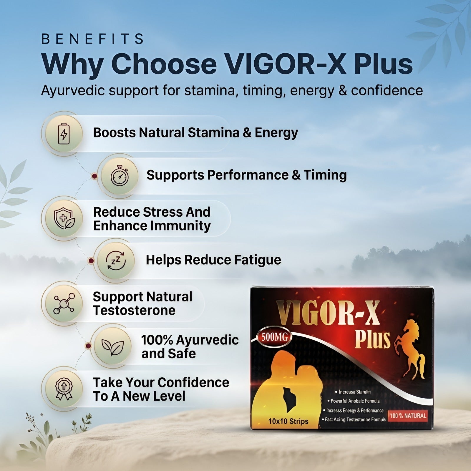 Vigor-X Plus