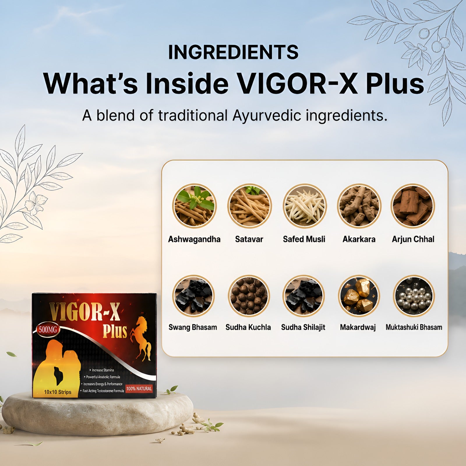 Vigor-X Plus